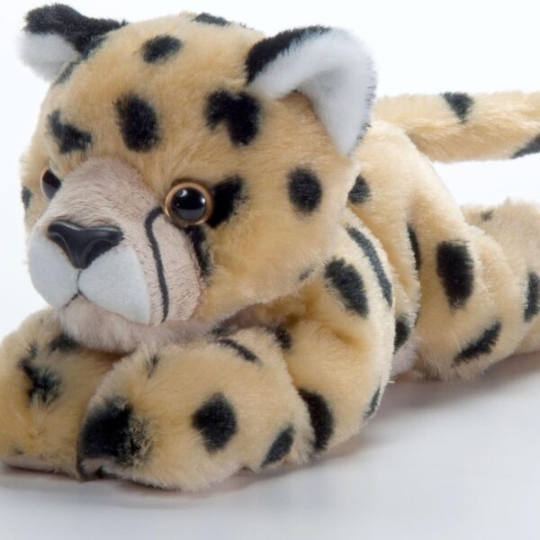 Character Plush Toy